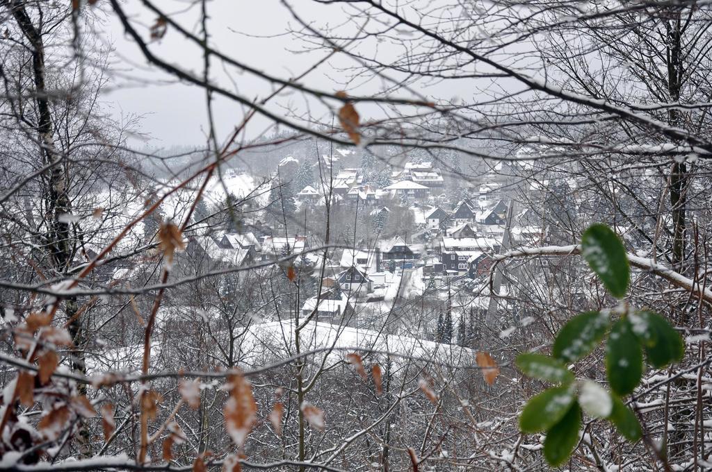 Haus Duemling Hotell Braunlage Eksteriør bilde