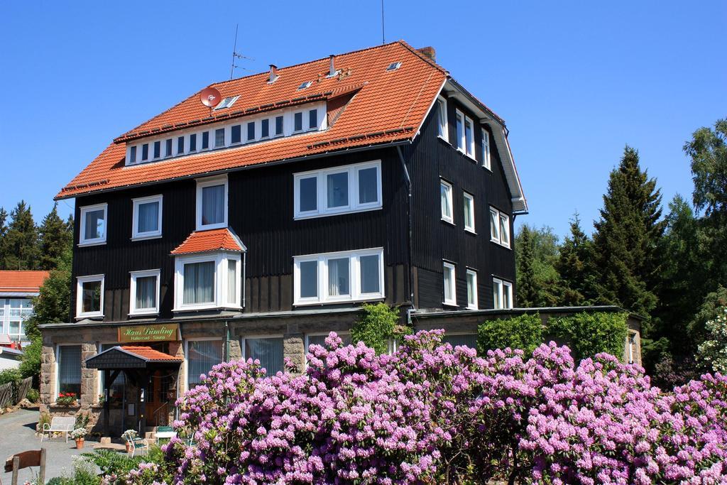 Haus Duemling Hotell Braunlage Eksteriør bilde